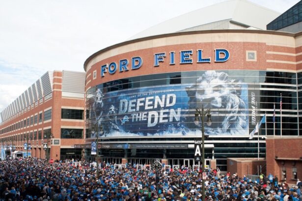 Detroit Lions